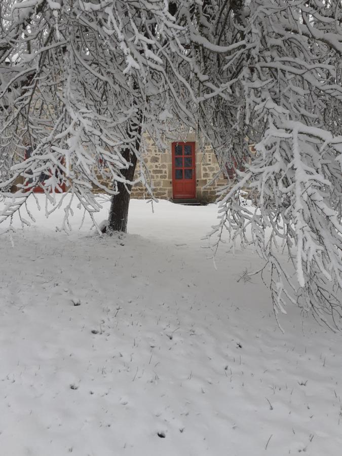 Auverg'Nature Chambre Cocon Espinasse Exterior photo