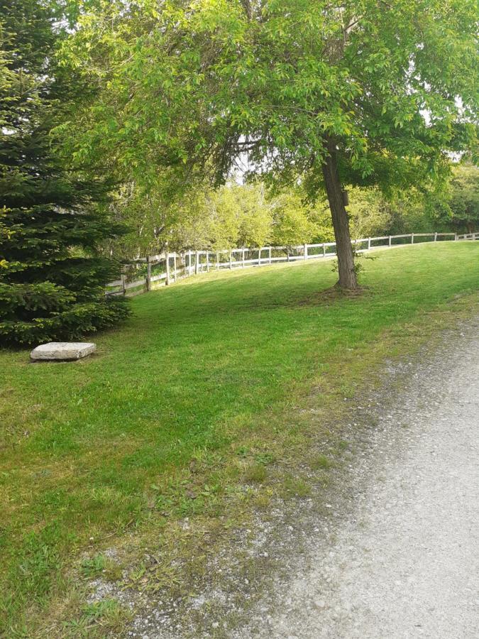 Auverg'Nature Chambre Cocon Espinasse Exterior photo